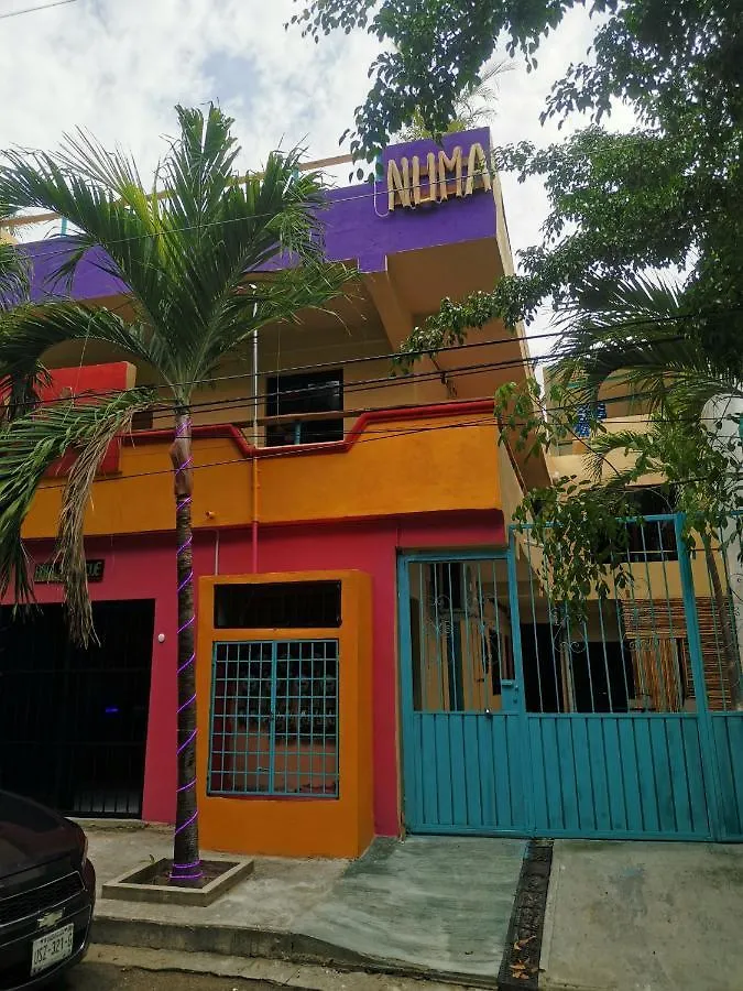 Numa Hotel Boutique Playa del Carmen